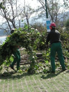 Z JARDINERIA  CAMPO ESPAMICA